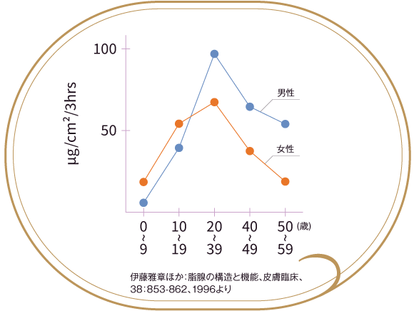 脂腺の構造と機能、皮膚臨床